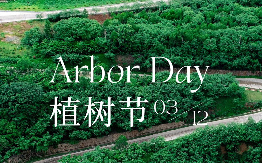 植树节 | GA黄金甲的绿色画卷